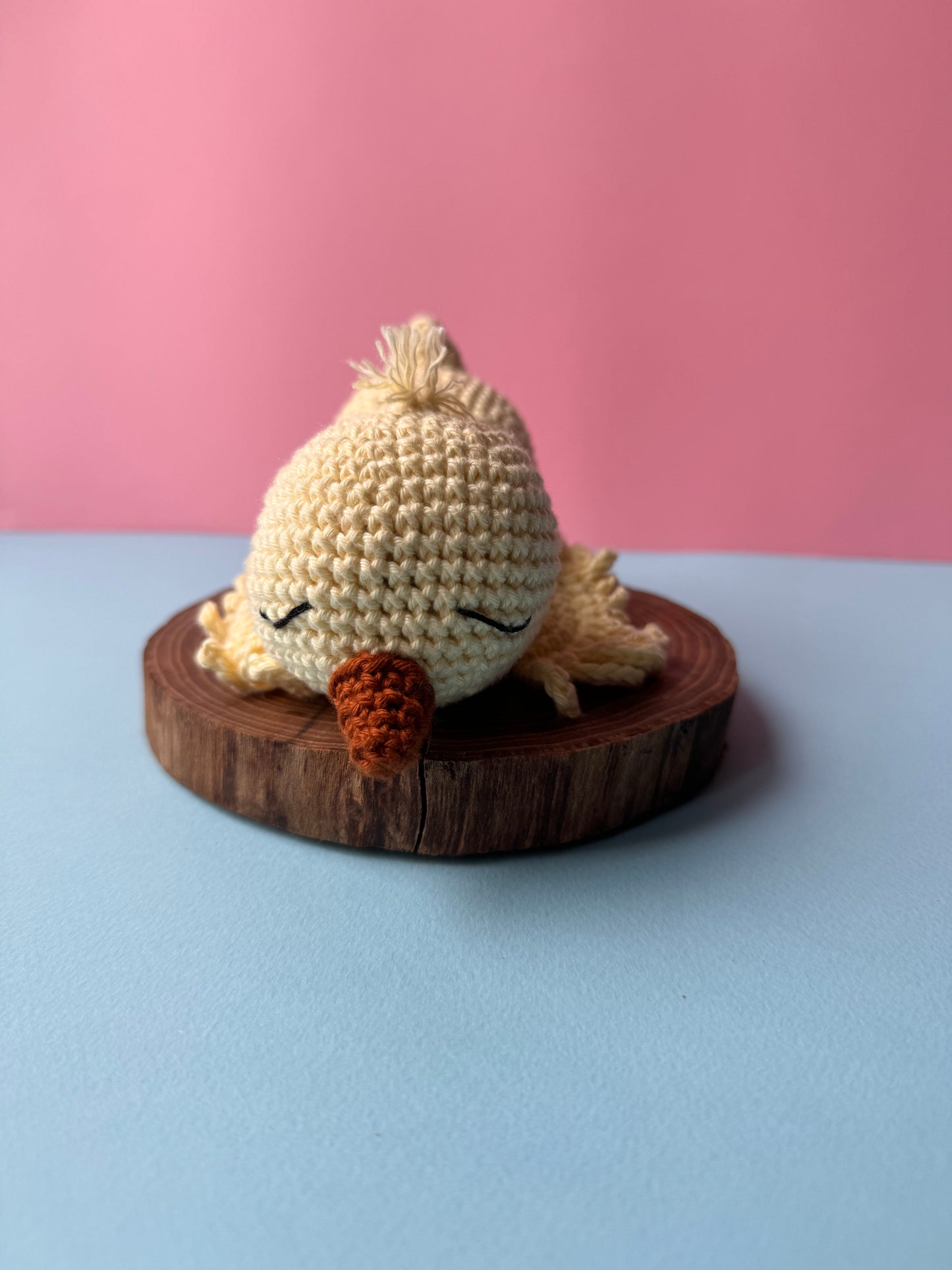 Pulcino Pilù