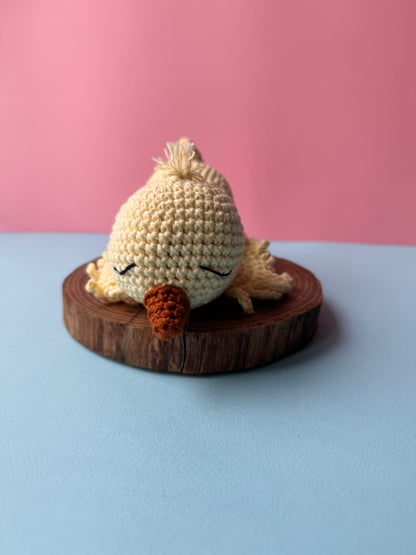 Pulcino Pilù